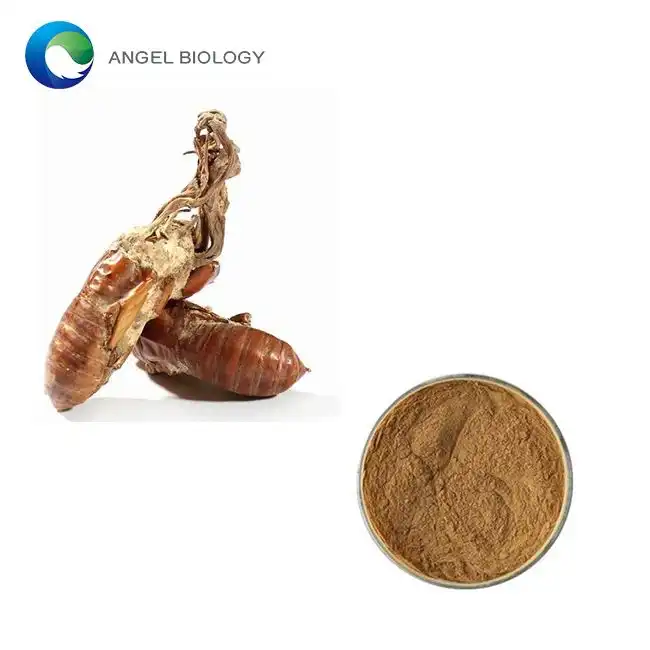 Cicada Flower Extract